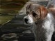 Avatar de Cgl